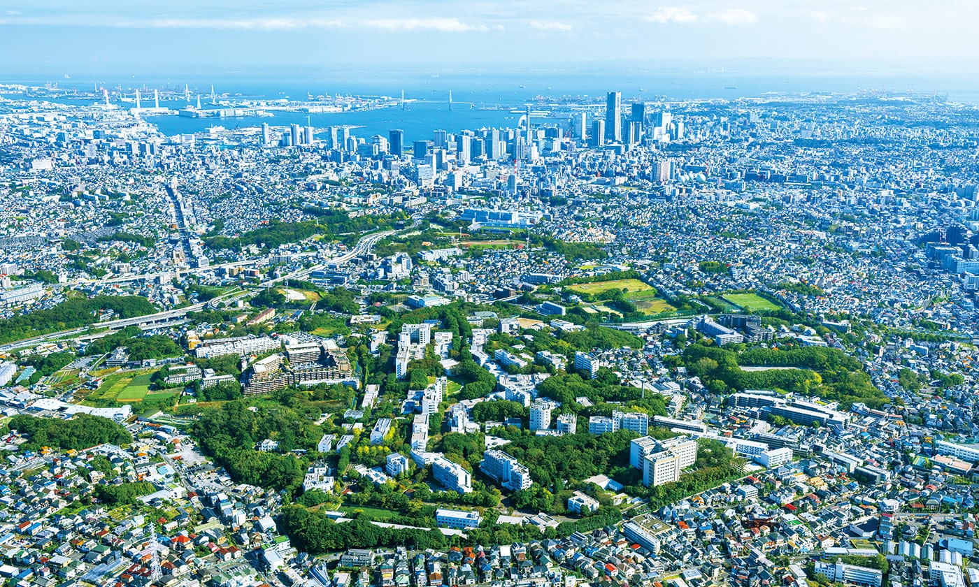 航空写真